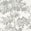 Wallpaper Trader Raphaël Wallpaper Roll 10.05m x 53cm, Grey