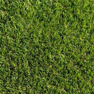Tuff Turf 1.8m Real Tuff Artificial Grass - Linear Metre