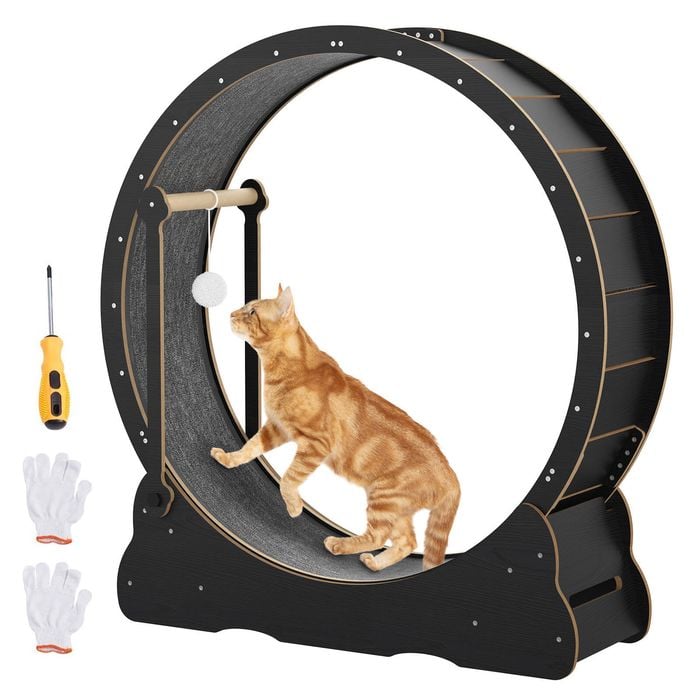Advwin Cat Exercise Wheel With Teaser 2in1 Cat Treadmill