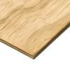 IBuilt 7 x 1200 x 2400mm CD H3.2 Structural Plywood - 7mm