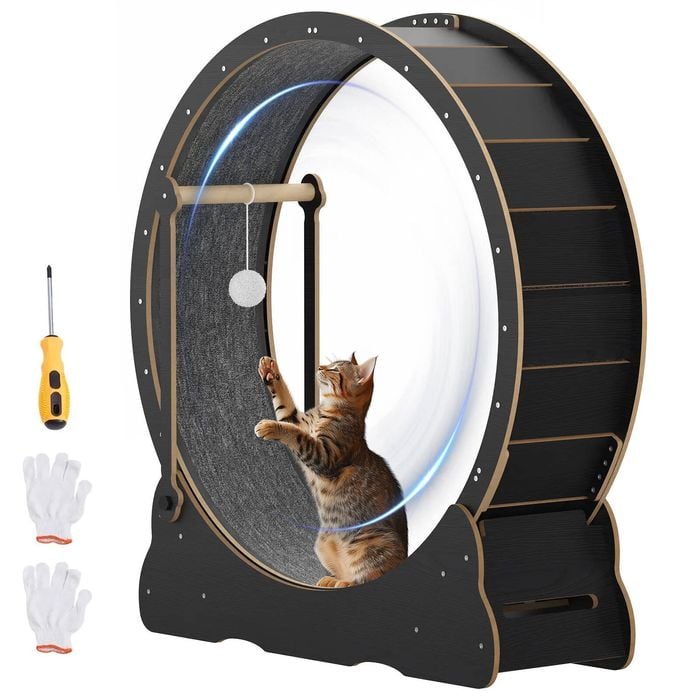 Advwin Cat Exercise Wheel with Teaser 2in1 Pet Treadmill