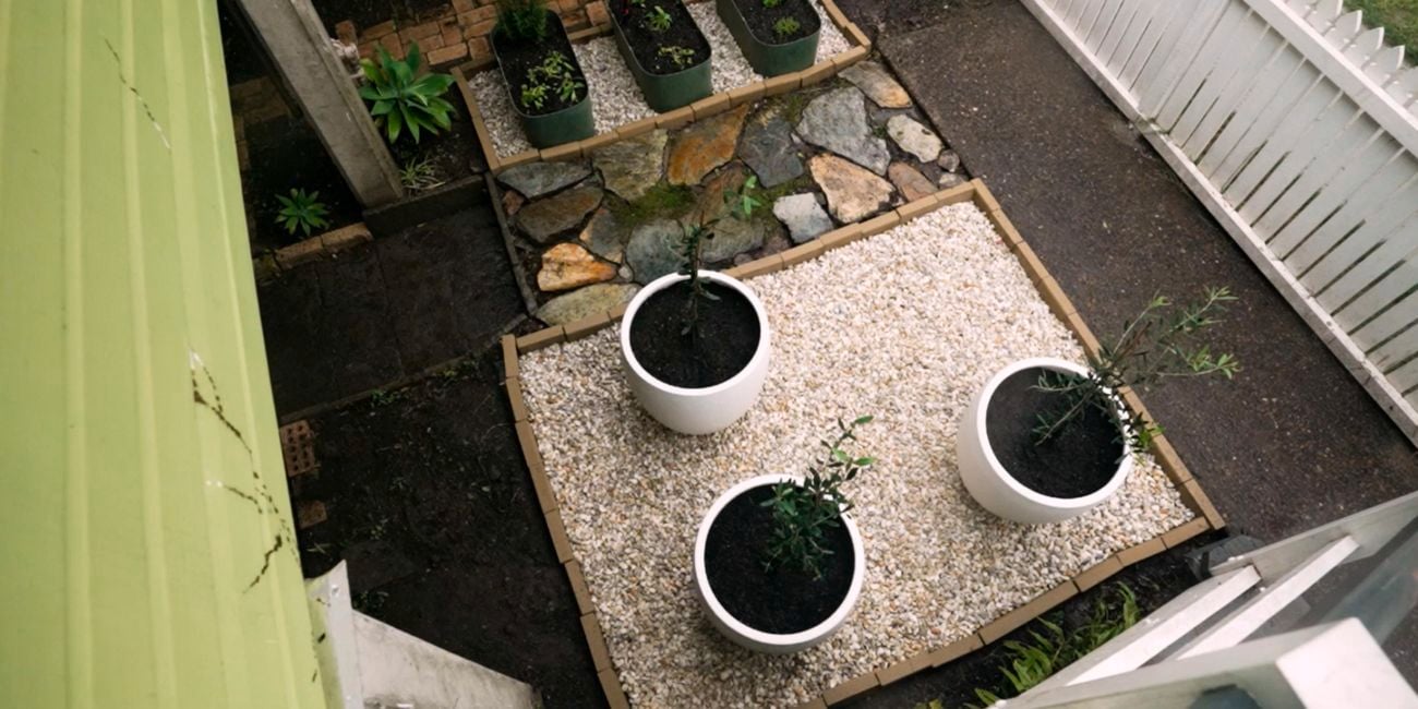 Pavers and pot plants in a front yard with a white fence.