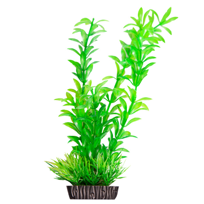 Aqua One Ecoscape Medium Ludwigia Green (28275)