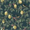 Lemon Tree Teal, Wallpaper 10.05m x 53cm Wallpaper Boutique