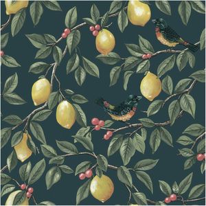 Lemon Tree Teal, Wallpaper 10.05m x 53cm Wallpaper Boutique