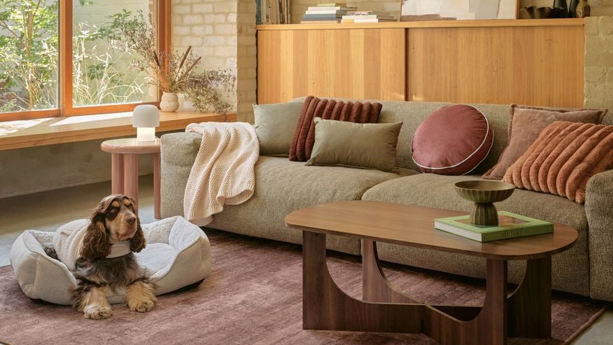 Cosy living room with sofa, coffee table, rug, and dog resting on a bed