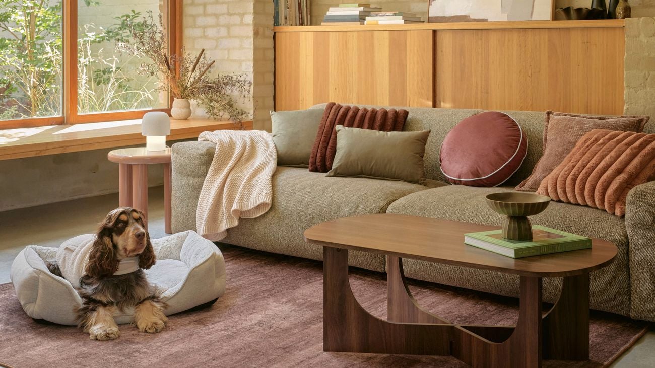 Cosy living room with sofa, coffee table, rug, and dog resting on a bed