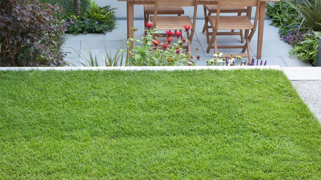 wide landscape image of a lawn