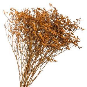 Blooms Of Joy 70cm Orange Limonium Flowers