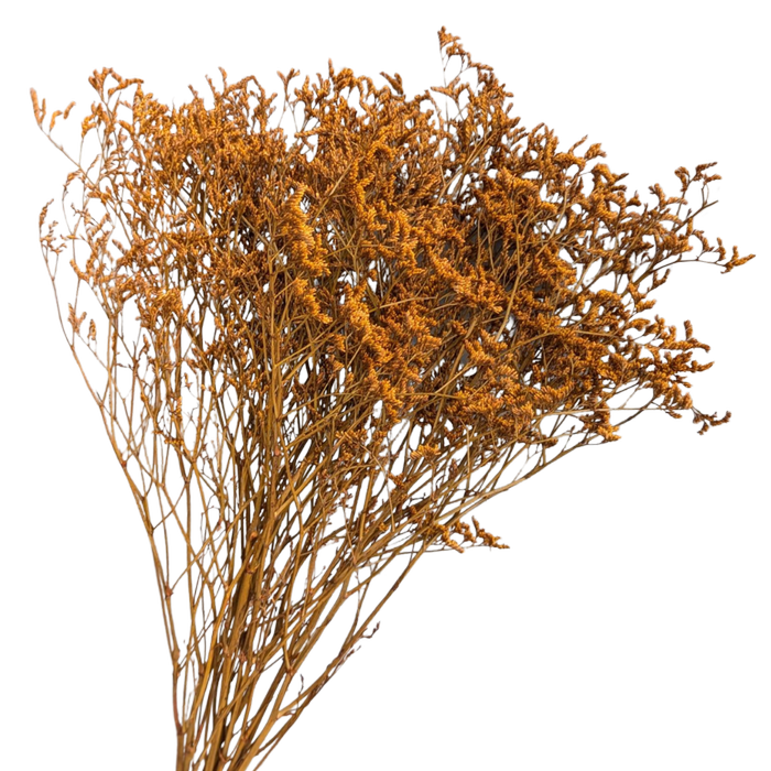 Blooms Of Joy 70cm Orange Limonium Flowers