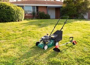 Green Background - Bunnings Hammer Icon
