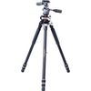 Vanguard Veo 3+ 263ap Pro Tripod With 3 Way Pan Head & Monopod