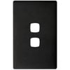 HPM 2 Gang Asphalt Linea Cover Plate