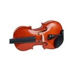 Orchestral String Instruments