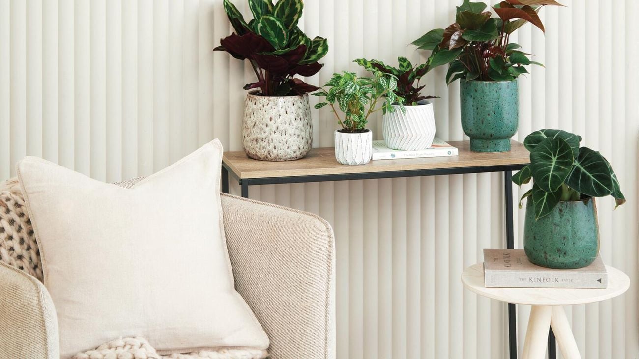 Plant pots on a modern desk