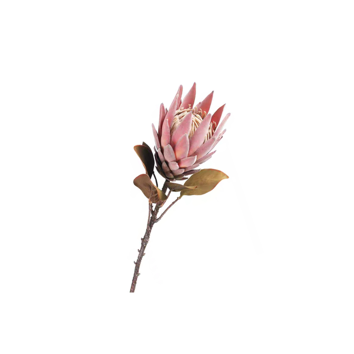 Elegant Collections 70cm Burgundy Artificial Protea Single Stem