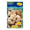 Fiesta Flower Bulbs Garlic Printanor - 8 Bulbs