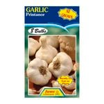 Fiesta Flower Bulbs Garlic Printanor - 8 Bulbs
