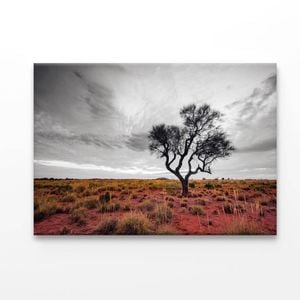Australian Outback  Print 100% Australian Made 120 x 90cm  (Acrylic)