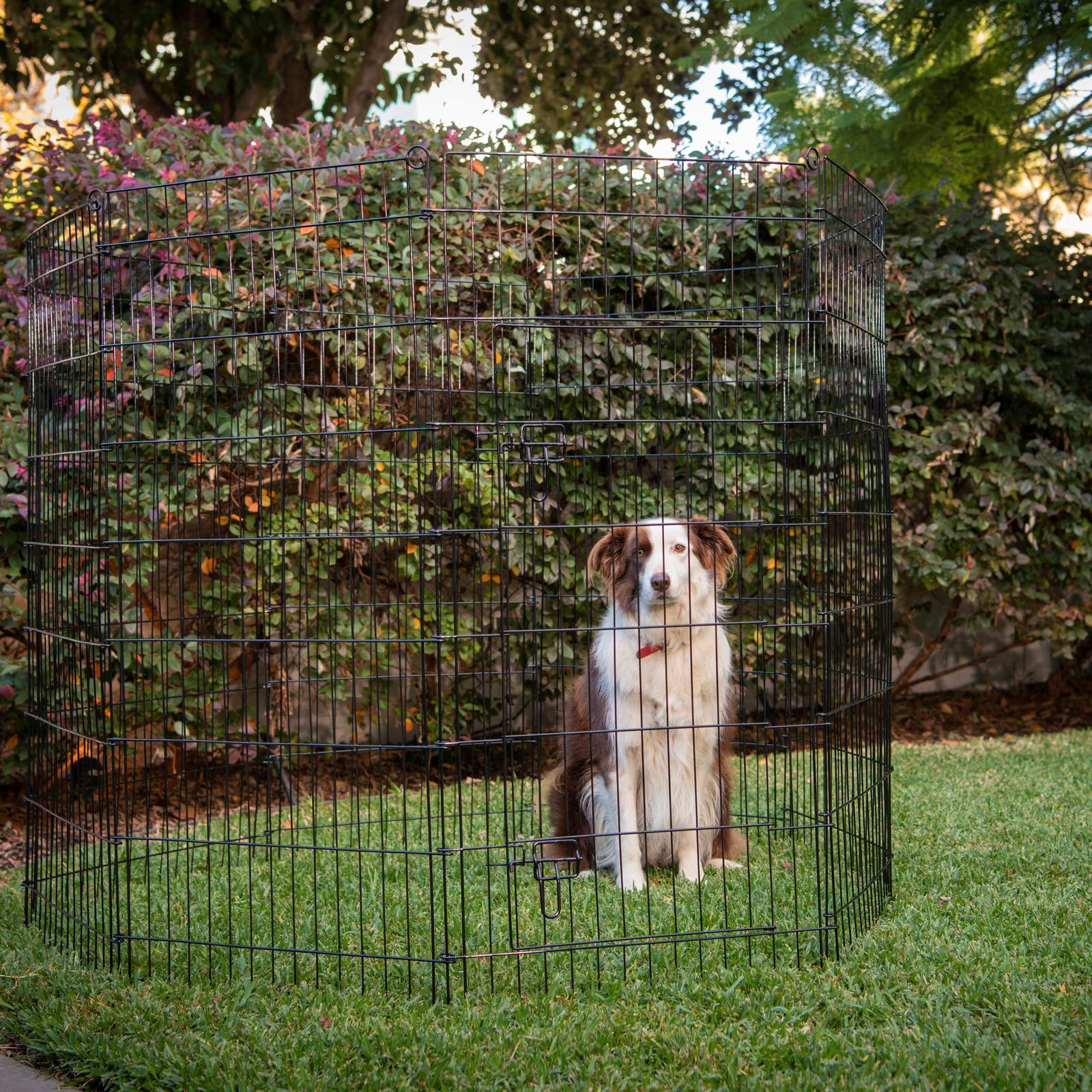 Pet fencing bunnings best sale