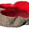 Aqua One Hermit Crab Tree Stump Bowl Red Large 14x10x3cm (37173r)