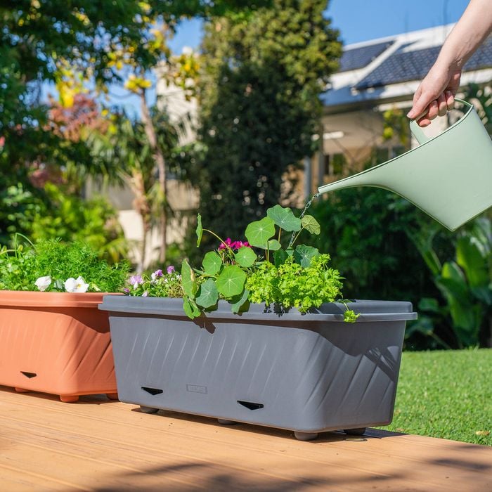 Holman Medium Terracotta Self Watering Planter Bunnings Australia