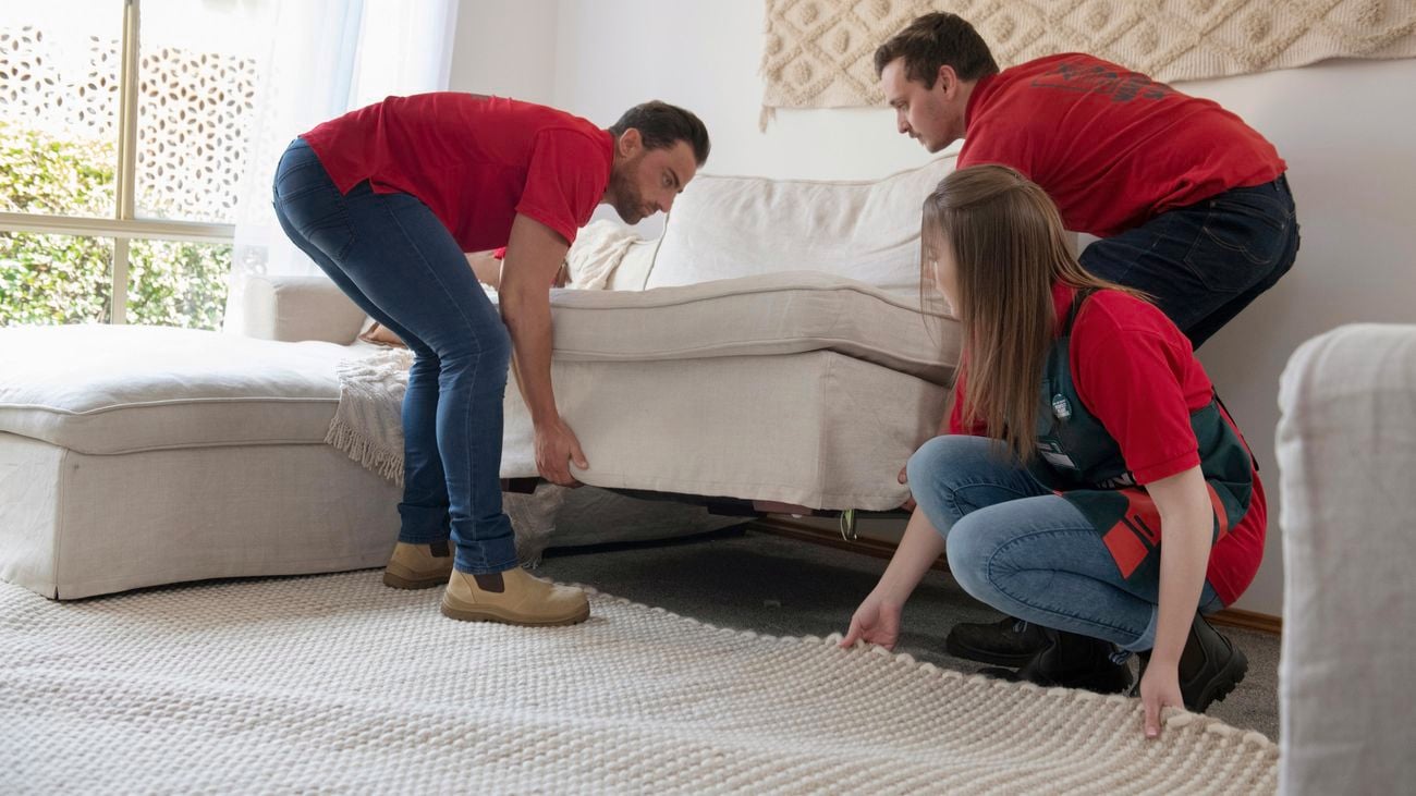 Three people move a couch and place a rug on the floor.