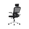 Oikiture Mesh Office Chair Fabric Black&White