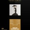 Ilford Galerie Fine Art Textured Silk 270gsm 24 60.96cm x 15m Roll