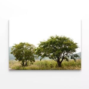 Trees in the Grasslands under Sky  Print 100% Australian Made 75 x 50cm  (Stretched)