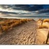 Sand Path to North Sea Beach View  Print 100% Australian Made 120 x 90cm  (Stretched)