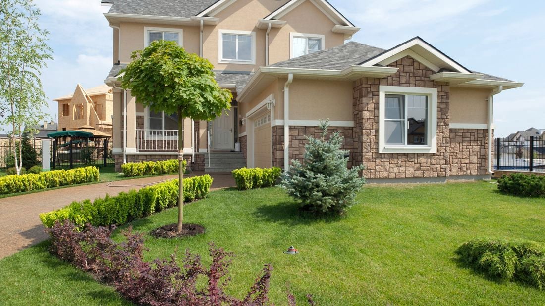 A two-storey house with a young standard oak tree in the front garden