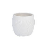 Astin Sinclair 220 x 220 mm Fan Palm Cream Pot