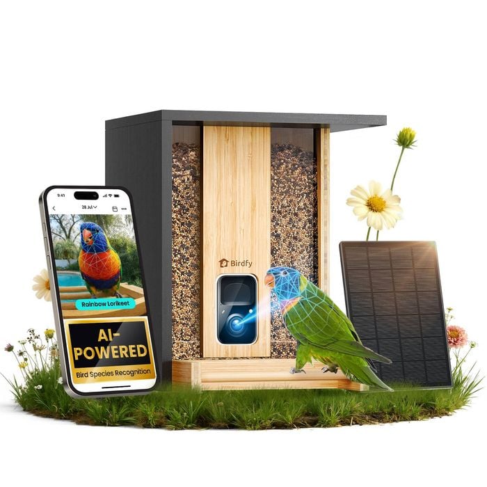 Birdfy Feeder Bamboo Ai Lifetime Free W/solar