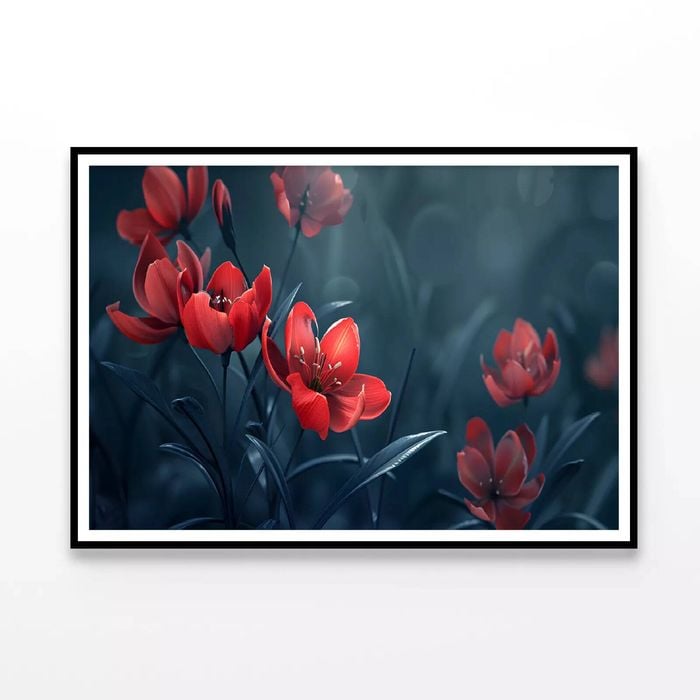 Close-Up of Red Tulip Flowers  Print 100% Australian Made 90x60cm  (Poster)