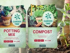 Daltons - NZ Legacy Sitecore Strip Banner - Garden Time