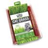 Mr Fothergills Cat Grass Seed Raiser Kit
