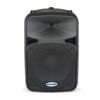 SAROD15: Passvie 400 Watt RMS 15" 2 Way Speaker