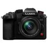 Panasonic Lumix Gh7 Camera W/ 12-60mm Lens