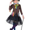 Alice In Wonderland Plus Size Womens Mad Hatter Character Costume - Xlarge