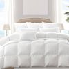 DreamZ 500GSM All Season Goose Down Feather Quilt Super King