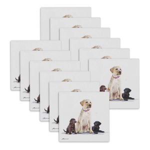 12PK Ashdene Puppy Love Labrador Ceramic Coaster Square 10x10cm