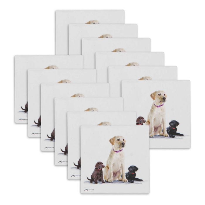 12PK Ashdene Puppy Love Labrador Ceramic Coaster Square 10x10cm