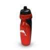 Nrl Sports Drink Bottle 640ml - Dolphins - Rubber Grip