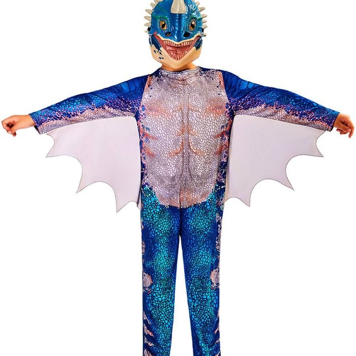 Nadder How To Train Your Dragon Kids Costume - 9-10