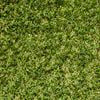 DIY Turf 1.8m x 20mm Pile Lifestyle Synthetic Turf