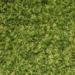 DIY Turf 1.8m x 20mm Pile Lifestyle Synthetic Turf