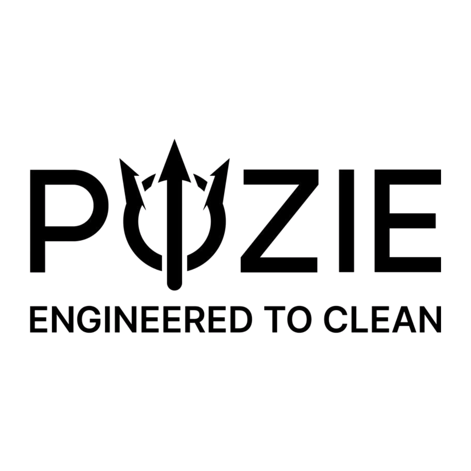 POZIE