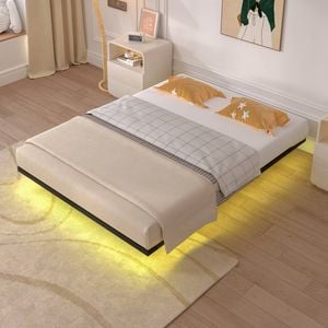 Advwin Floating Bed Frame Queen with LED Lights Black Metal Platform Base