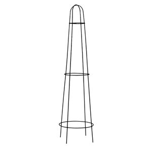 Jack 75cm Black Cone Plant Trainer